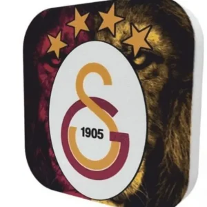 galatasaray-logo